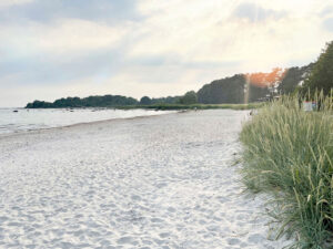 willanordic_sandviken_5