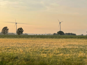 willanordic_sandviken_6