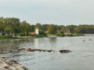 willanordic_sandviken_7